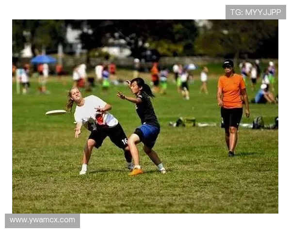 成都飞盘队耐力训练的挑战与突破探索之旅