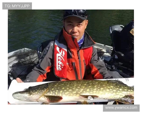 攀岩女神杨娜分享成功秘诀与训练心得的独家专访