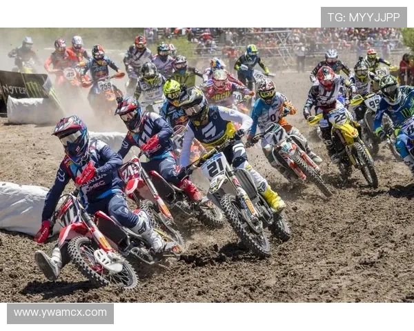 极限运动对决回顾上海队与深圳队速度之争的精彩瞬间与战术分析